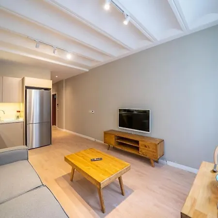 Historic 1 Bedroom Galata Apt-heart Of Kuledibi 8 *